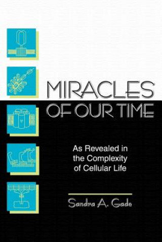 Книга Miracles of Our Time Sandra A Gade