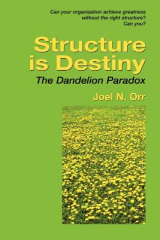 Kniha Structure is Destiny Joel Orr