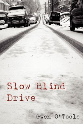 Kniha Slow Blind Drive Gwen O'Toole