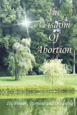 Könyv Wisdom of Abortion Kim WisdomOfAbortion.com