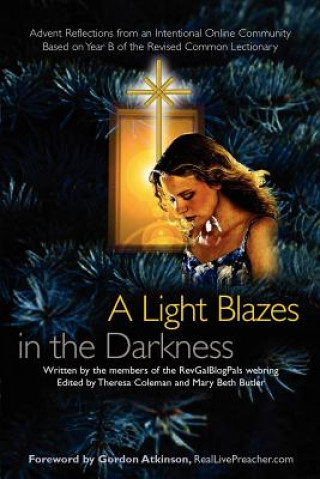 Könyv Light Blazes in the Darkness Theresa Coleman