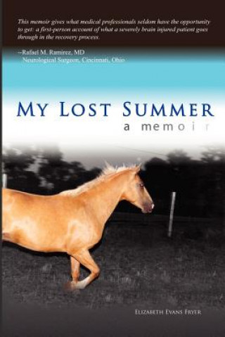 Könyv My Lost Summer Fryer