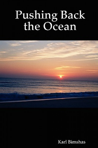 Könyv Pushing Back the Ocean Karl Bimshas