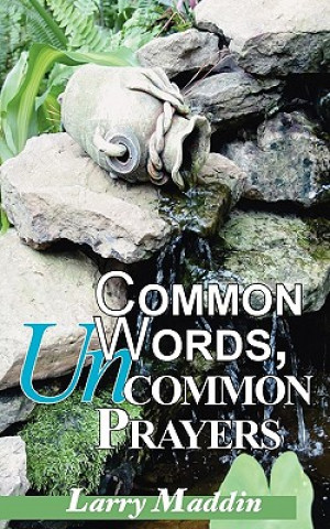 Buch Common Words, Uncommon Prayers Larry Maddin