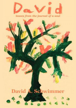 Könyv David David A. Schwimmer