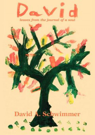 Βιβλίο David David A. Schwimmer