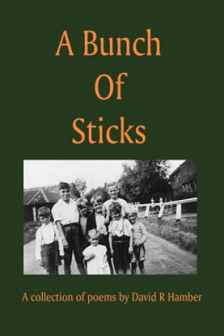 Kniha Bunch of Sticks David R. Hamber