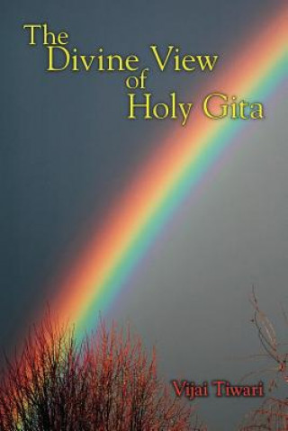 Könyv Divine View of Holy Gita Vijai Tiwari