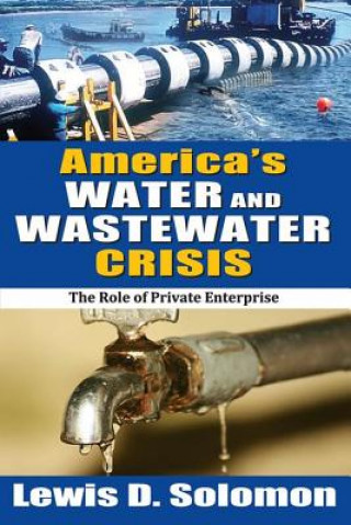 Kniha America's Water and Wastewater Crisis Lewis D. Solomon
