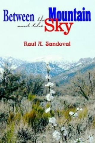 Kniha Between the Mountain and the Sky Raul A Sandoval