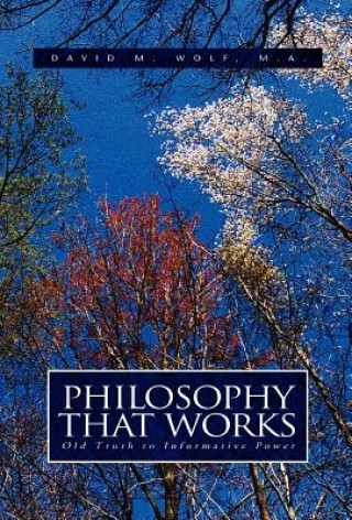 Kniha Philosophy That Works David M Wolf MA