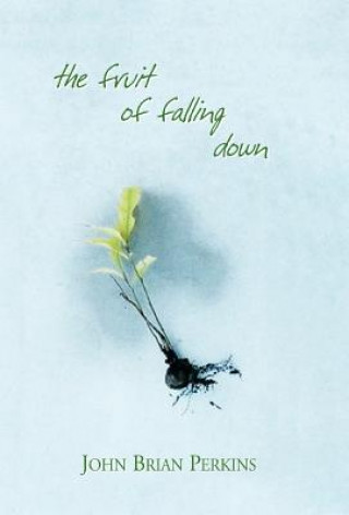 Knjiga Fruit of Falling Down John Brian Perkins