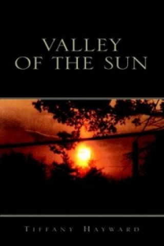 Könyv Valley of the Sun Debra L McMillan