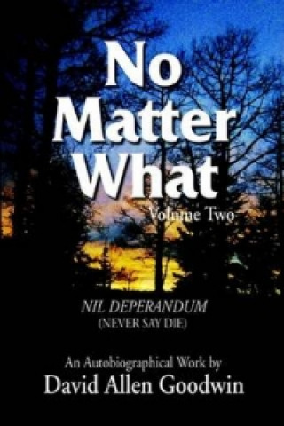 Kniha No Matter What David Allen Goodwin