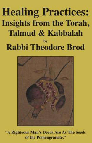 Kniha Healing Practices Rabbi Theodore Brod