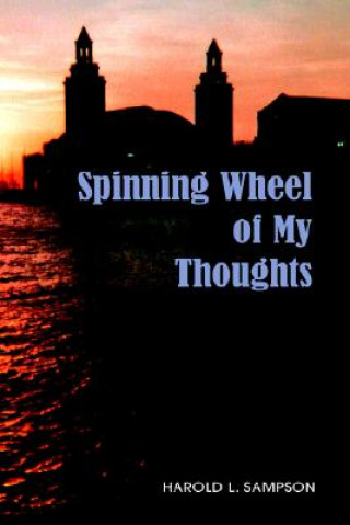 Książka Spinning Wheel of My Thoughts Example Joint Author