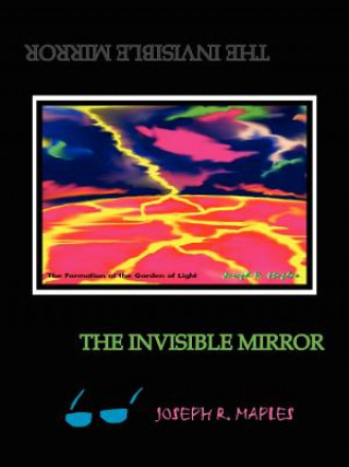 Livre Invisible Mirror Joseph R Maples