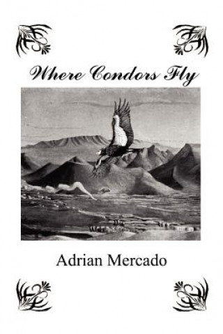 Carte Where Condors Fly Adrian Mercado