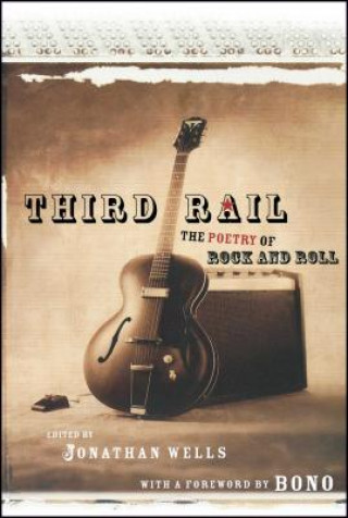 Buch Third Rail Jonathan Wells