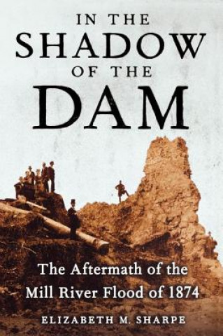 Βιβλίο In the Shadow of the Dam, The Aftermath of the Mill River Flood of 1874 Elizabeth M. Sharpe