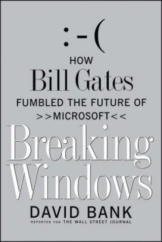 Buch Breaking Windows David Bank