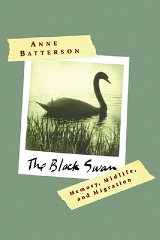 Kniha Black Swan Anne Batterson