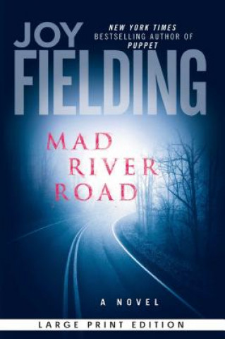 Kniha Mad River Road - LP Joy Fielding