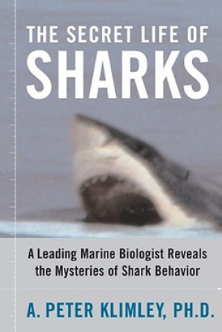 Книга Secret Life of Sharks Peter A. Klimley