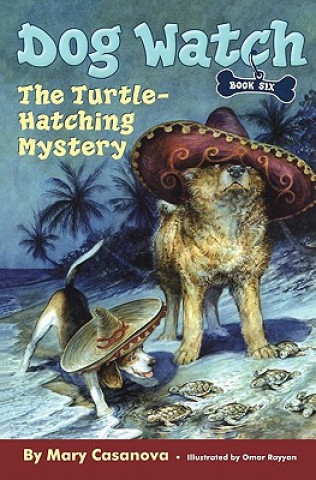 Book Turtle-Hatching Mystery Mary Casanova