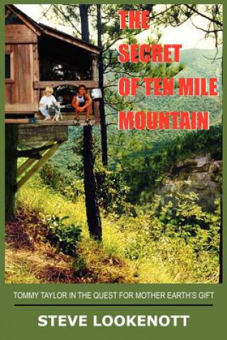 Книга Secret of Ten Mile Mountain Steve Lookenott