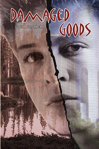 Könyv Damaged Goods Judith Strohbehn