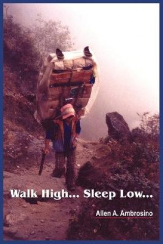 Livre Walk High... Sleep Low... Allen A Ambrosino