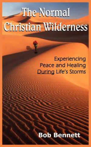 Kniha Normal Christian Wilderness Bob Bennett