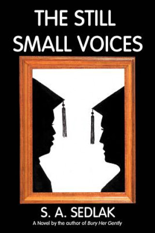 Buch Still Small Voices S A Sedlak