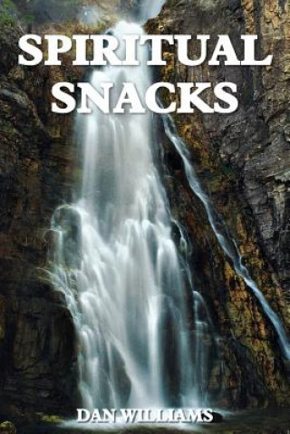 Kniha Spiritual Snacks Dan Williams