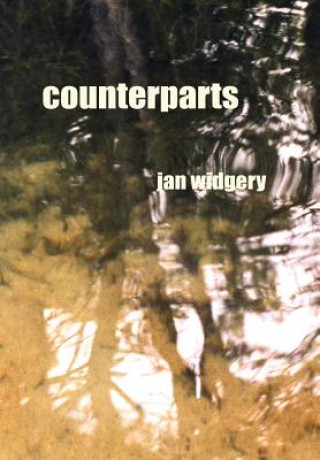 Kniha Counterparts Jan Widgery