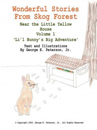 Книга Wonderful Stories From Skog Forest Peterson