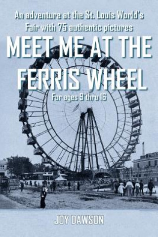 Kniha Meet ME at the Ferris Wheel Joy Dawson