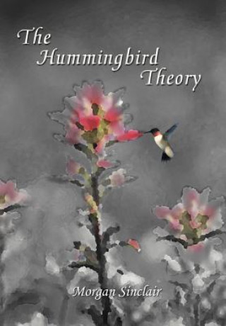 Kniha Hummingbird Theory Morgan Sinclair