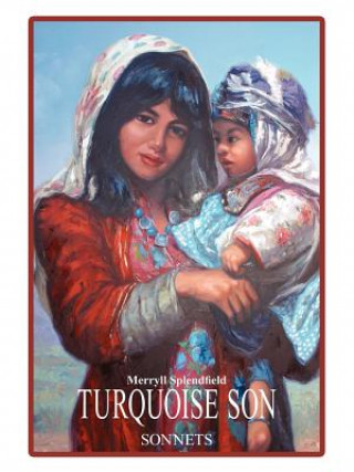 Book Turquoise Son Merryll Splendfield