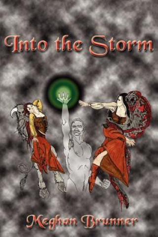 Libro Into the Storm Meghan Brunner