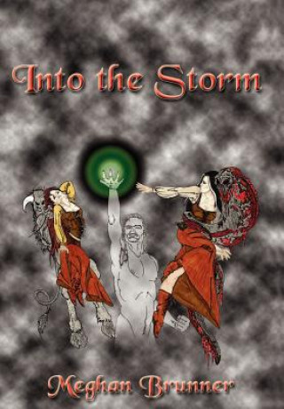 Knjiga Into the Storm Meghan Brunner