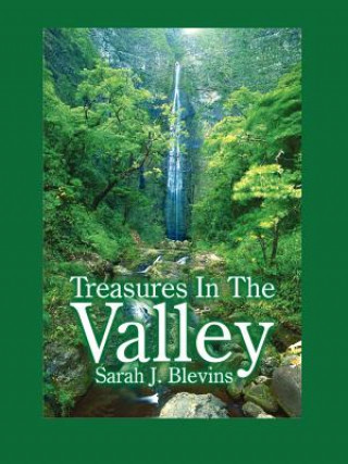 Könyv Treasures In The Valley Sarah J Blevins