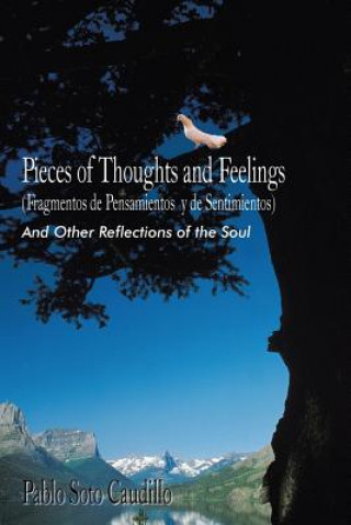 Kniha Pieces of Thoughts and Feelings (Fragmentos De Pensamientos Y De Sentimientos) Pablo Soto Caudillo