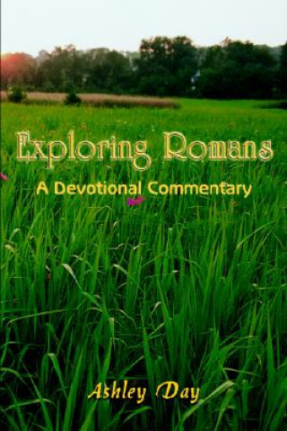 Book Exploring Romans Ashley Day