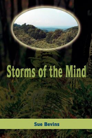 Buch Storms of the Mind Sue Bevins