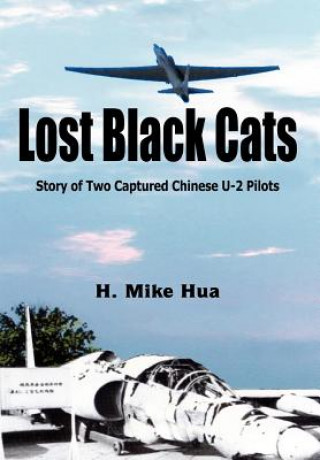 Книга Lost Black Cats Xijun Hua