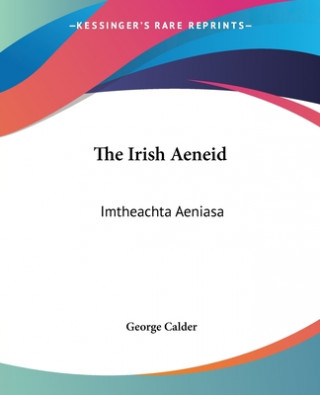 Buch Irish Aeneid George Calder