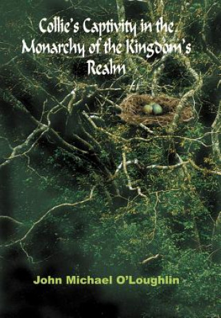 Könyv Collie's Captivity in the Monarchy of the Kingdom's Realm John Michael O'Loughlin