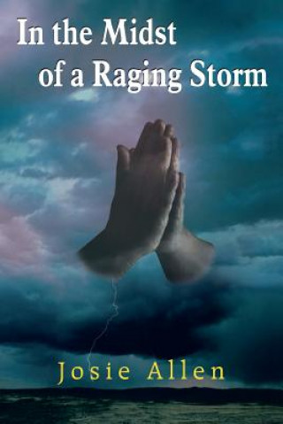 Βιβλίο In the Midst of a Raging Storm Josie Allen